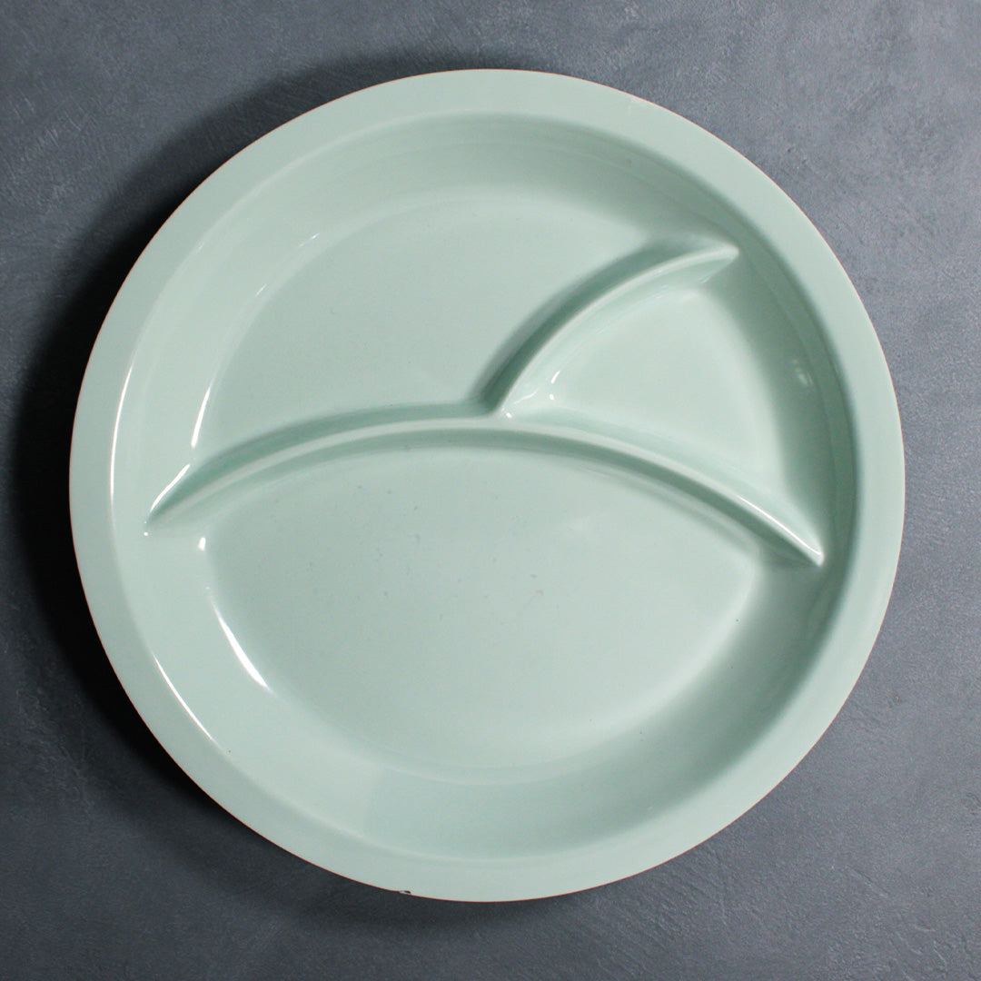 Divided Dinner Plate